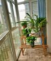 �r�mqi New Home Apartment