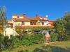 Apartment Zoran 434