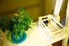 Deodonum Luxury Apartments