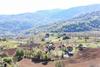 Hotel Orias Guesthouse & Farm