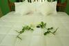Bed & Breakfast The Pepper Suite, Wayanad