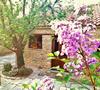 Hostal Paradosiako Saratsi - Traditional Guest House