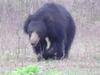 Sarath Home Stay And Safari