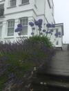 Villa Padstow House