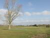 The Granary, Market Drayton