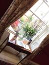 Hotel Dinham Hall & Elliotts Bistro