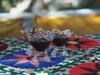 Hostal Antica B & B Samarkand