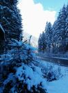 Lodge Guest House Alyaska