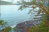 Going Coastal R&r