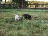 Agroturismo Farmlodge