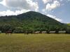 Agroturismo Farma Sotira