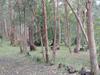 Agroturismo El Portal Del Bosque