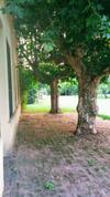 Agroturismo Caba�as Irem�a