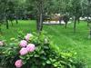 Hostal Guest House Sabriu