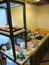 Bed & Breakfast Arbia Dorka Heritage Palace