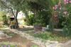 Apartments Branko