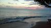 Blue Whales Beach Apartments
