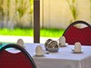 Nuevo Hotel Constituci�n