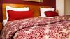 Hotel Le Marly