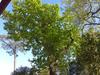 Apartment Les Hauts De Bordagain.3