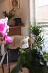 Bed & Breakfast Kirisavan