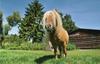 Holiday Home Le Thier 02