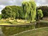 Hostal Chapeauveau B&B