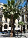 Hotel Roma Reial