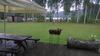 P�ikseranna Holiday Centre