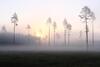Haudam�e Holiday Home