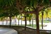 Apartamento #627 Playa Blanca