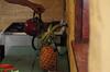 Hostal Los Cocos Beach House, Popoyo