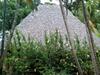 Eco-lodge El Porvenir.