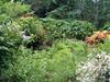 Eco-lodge El Porvenir.