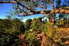 Lodge Lira 2, Caba�as Lobolira