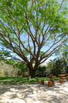 Apartamento Modern Studio Suite - Close To Beach - Pool