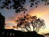 Apartamento Lobo, Caba�as Lobolira