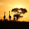 Kalahari Red Dunes Lodge