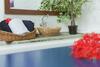 Hotel Port�n Del Sol