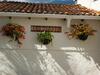 Hostal Silvania, Ferienhaus - Casa Campestre