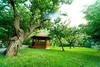 Villa Cherry