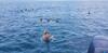 Hostal Equa Reef Maldives