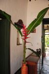 Hotel Hostal Mision Santa Barbara