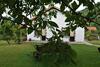 Villa Patrice