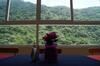 Hotel Paraiso Huasteco
