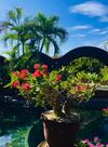 Hacienda La Rusa B&B