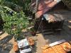 Hostal Mano Temple House