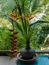 Bed & Breakfast Sala Thongyon