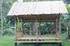 Elephant Homestay