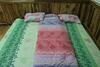 Elephant Homestay